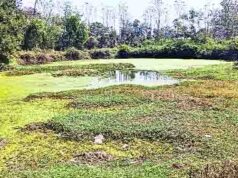 तेलनखेडी येथील माताबोडी ठरताहे धोकादायक