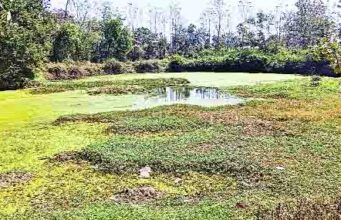 तेलनखेडी येथील माताबोडी ठरताहे धोकादायक