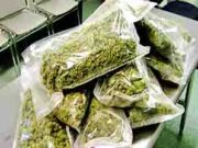 गांजा तस्करी करणारे दोघे जाळ्यात अडकले