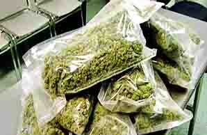 गांजा तस्करी करणारे दोघे जाळ्यात अडकले