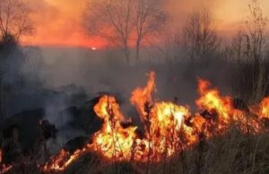 वनविभागात ‘रेड अलर्ट’ देवरी तालुक्यातील जंगल परिसरात लागला वणवा!