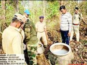 जंगल शिवारातील दारुभट्टी उधळली
