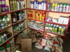 फर्जी बीज की कालाबाजारी करनेवाले 26 कृषि केंद्रों पर कारवाई