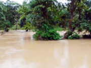 पुराच्या पाण्यात बुडून इसमाचा मृत्यू