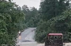 बाघनदीच्या पुरात ट्रॅक्टर गेले वाहून; चालकाने वाचविले स्वतःचे जीव