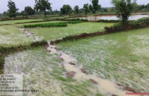 नवेगावबांध क्षेत्रात खळबळ उडवून देणारा गजराज गोठणगाव, जुनेवानी परिसरात