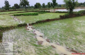 नवेगावबांध क्षेत्रात खळबळ उडवून देणारा गजराज गोठणगाव, जुनेवानी परिसरात