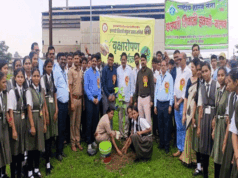 हरीत सेनेने पर्यावरण संवर्धन करावे : टी. एच. धमडेरे