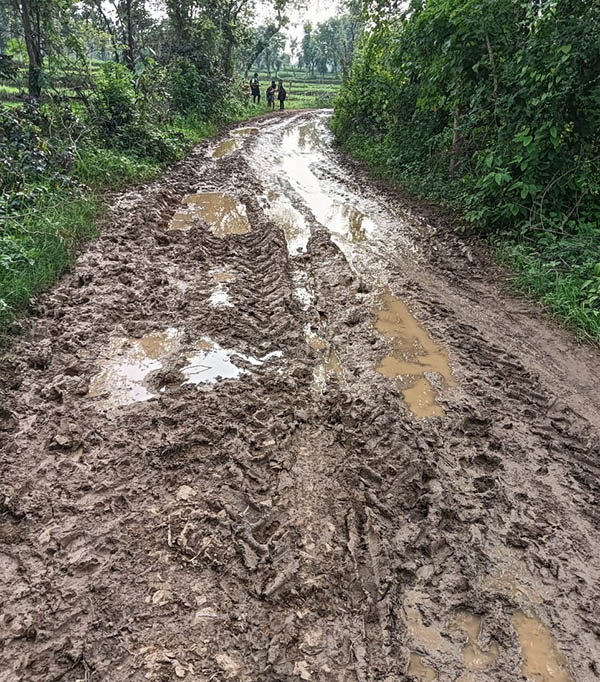 news-14_202407211850531425_H@@IGHT_682_W@@IDTH_600