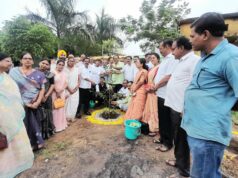 संजय पुराम यांचा वाढदिवसानिमित्त कृउबास परीसरात वृक्षारोपण