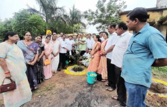 संजय पुराम यांचा वाढदिवसानिमित्त कृउबास परीसरात वृक्षारोपण
