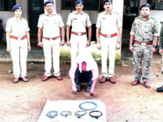 वन्य प्राण्यांचा शिकार करण्याच्या बेतात असलेल्या आरोपीस अटक