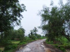 महागांव (सिरोली) सभोवतालच्या रस्त्यांची दुरावस्था