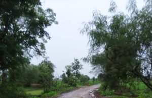 महागांव (सिरोली) सभोवतालच्या रस्त्यांची दुरावस्था