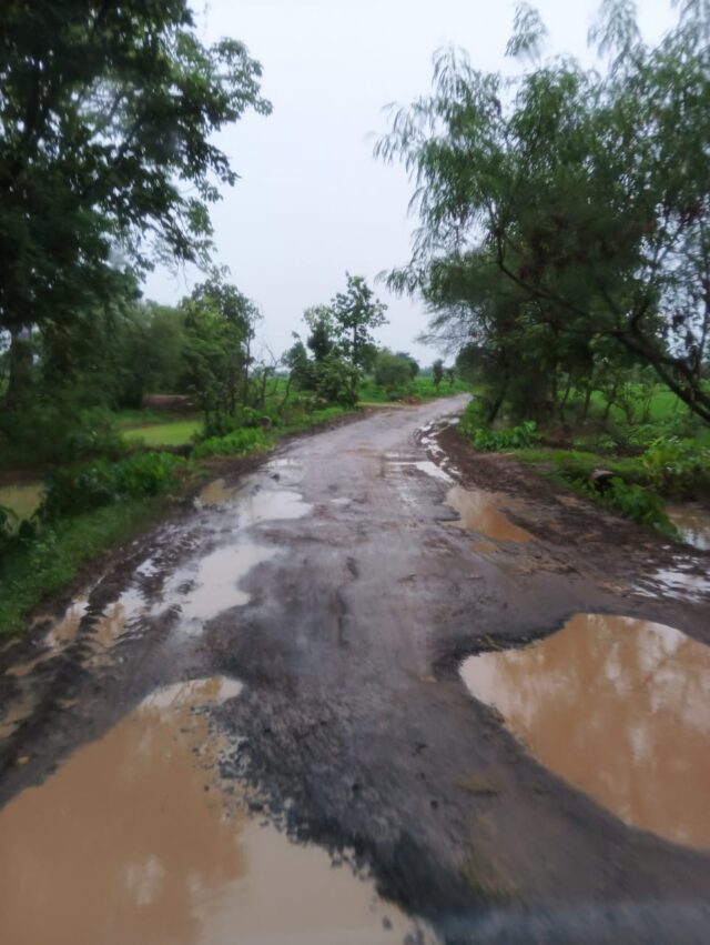 WhatsApp-Image-2024-08-11-at-13.16.23