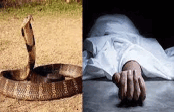 सर्पदंशाने सर्पमित्राचा मृत्यू