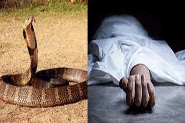 bite_202408061933072359_H@@IGHT_400_W@@IDTH_600