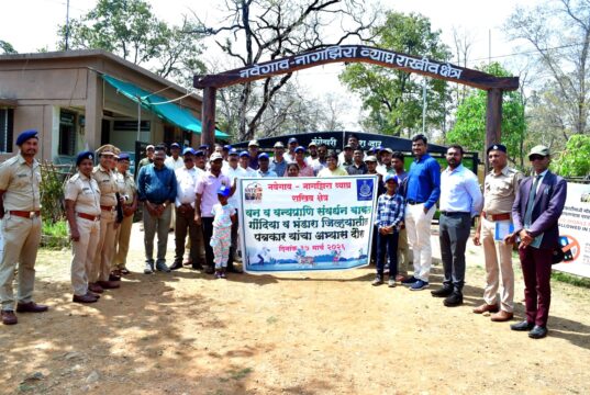 येत्या काळात नवेगाव-नागझिरा व्याघ्र राखीव क्षेत्रात दिसणार अधिक वन्यजीव