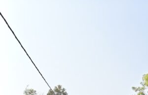 हरिनामाच्या जयघोषाने दुमदुमली इंजोरी नगरी