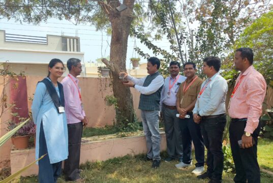 पक्ष्यांकरिता जलपात्रांची व्यवस्था